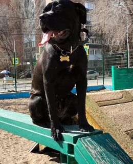 Алексей — фото 1