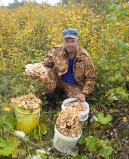 Андрей — фото 3